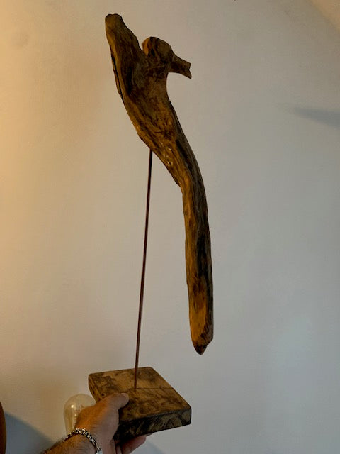 Sculpture en bois flotté de Loire - Bec d'oiseau - 65 cm de hauteur × 38 × 20 / ± 1,2 kg - Création Zen Curiosity