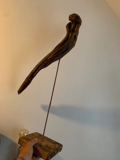 Sculpture en bois flotté de Loire - Bec d'oiseau - 65 cm de hauteur × 38 × 20 / ± 1,2 kg - Création Zen Curiosity