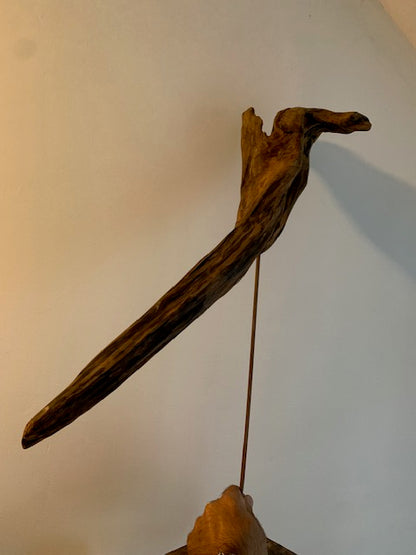 Sculpture en bois flotté de Loire - Bec d'oiseau - 65 cm de hauteur × 38 × 20 / ± 1,2 kg - Création Zen Curiosity