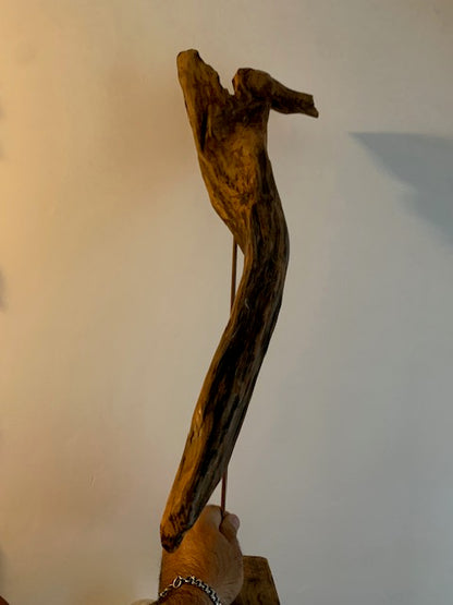 Sculpture en bois flotté de Loire - Bec d'oiseau - 65 cm de hauteur × 38 × 20 / ± 1,2 kg - Création Zen Curiosity