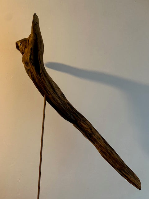 Sculpture en bois flotté de Loire - Bec d'oiseau - 65 cm de hauteur × 38 × 20 / ± 1,2 kg - Création Zen Curiosity