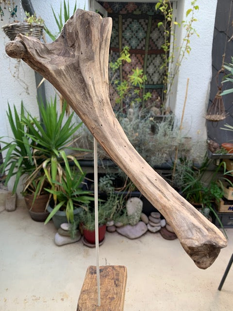 Sculpture en bois flotté de Loire - 'Éléphanteau' - 49 cm de hauteur × 30 × 15 / ± 0,5 kg - Création Zen Curiosity