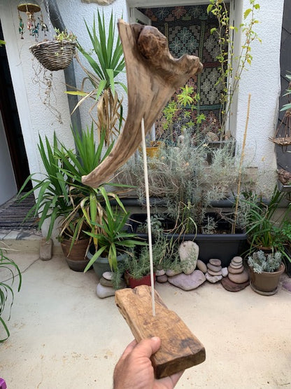 Sculpture en bois flotté de Loire - 'Éléphanteau' - 49 cm de hauteur × 30 × 15 / ± 0,5 kg - Création Zen Curiosity