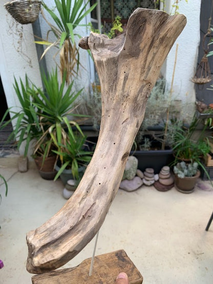 Sculpture en bois flotté de Loire - 'Éléphanteau' - 49 cm de hauteur × 30 × 15 / ± 0,5 kg - Création Zen Curiosity