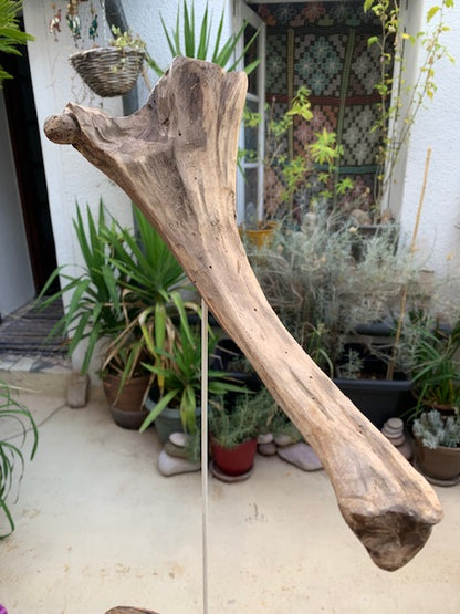 Sculpture en bois flotté de Loire - 'Éléphanteau' - 49 cm de hauteur × 30 × 15 / ± 0,5 kg - Création Zen Curiosity