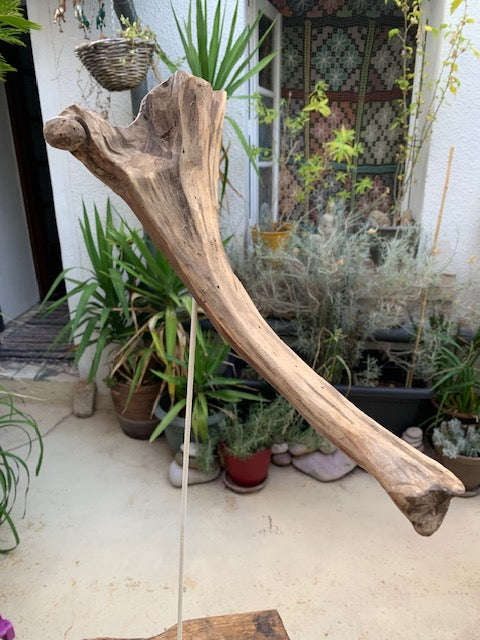 Sculpture en bois flotté de Loire - 'Éléphanteau' - 49 cm de hauteur × 30 × 15 / ± 0,5 kg - Création Zen Curiosity