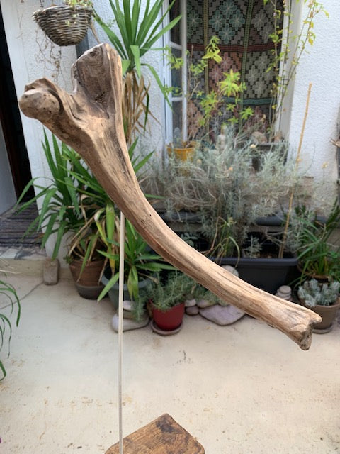 Sculpture en bois flotté de Loire - 'Éléphanteau' - 49 cm de hauteur × 30 × 15 / ± 0,5 kg - Création Zen Curiosity
