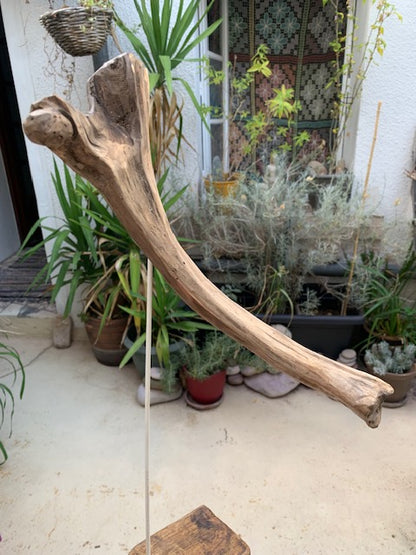 Sculpture en bois flotté de Loire - 'Éléphanteau' - 49 cm de hauteur × 30 × 15 / ± 0,5 kg - Création Zen Curiosity
