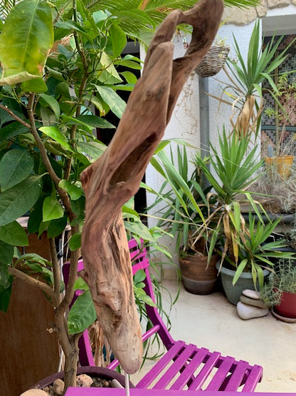 Sculpture en bois flotté de Loire - Bec d'oiseau - 53 cm de hauteur × 19 × 17 / ± 0,5 kg - Création Zen Curiosity