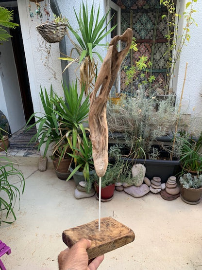 Sculpture en bois flotté de Loire - Bec d'oiseau - 53 cm de hauteur × 19 × 17 / ± 0,5 kg - Création Zen Curiosity
