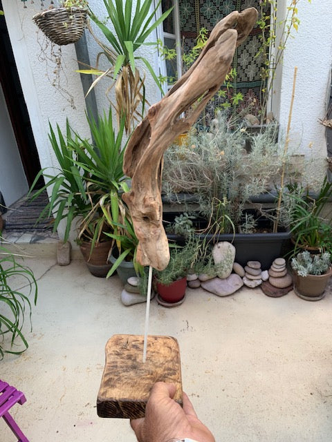 Sculpture en bois flotté de Loire - Bec d'oiseau - 53 cm de hauteur × 19 × 17 / ± 0,5 kg - Création Zen Curiosity