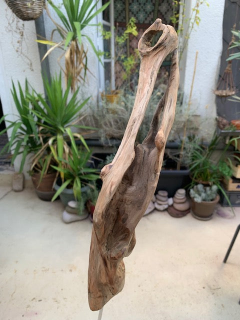 Sculpture en bois flotté de Loire - Bec d'oiseau - 53 cm de hauteur × 19 × 17 / ± 0,5 kg - Création Zen Curiosity