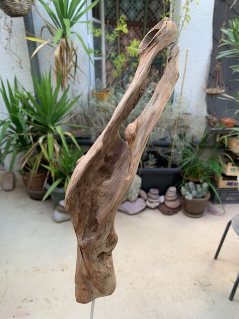 Sculpture en bois flotté de Loire - Bec d'oiseau - 53 cm de hauteur × 19 × 17 / ± 0,5 kg - Création Zen Curiosity