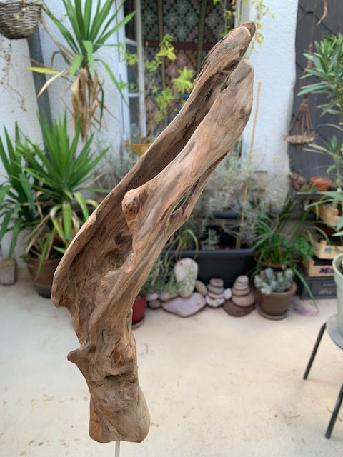 Sculpture en bois flotté de Loire - Bec d'oiseau - 53 cm de hauteur × 19 × 17 / ± 0,5 kg - Création Zen Curiosity