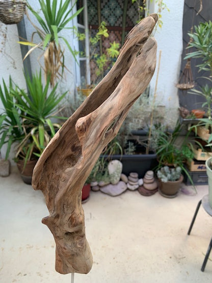 Sculpture en bois flotté de Loire - Bec d'oiseau - 53 cm de hauteur × 19 × 17 / ± 0,5 kg - Création Zen Curiosity