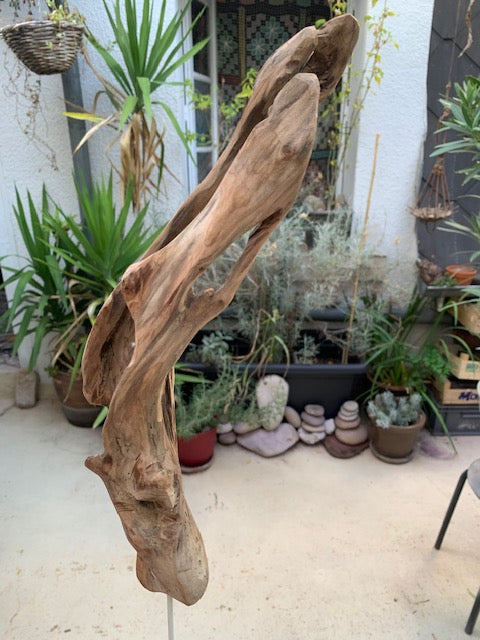 Sculpture en bois flotté de Loire - Bec d'oiseau - 53 cm de hauteur × 19 × 17 / ± 0,5 kg - Création Zen Curiosity