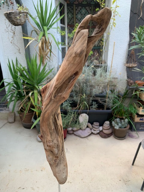 Sculpture en bois flotté de Loire - Bec d'oiseau - 53 cm de hauteur × 19 × 17 / ± 0,5 kg - Création Zen Curiosity