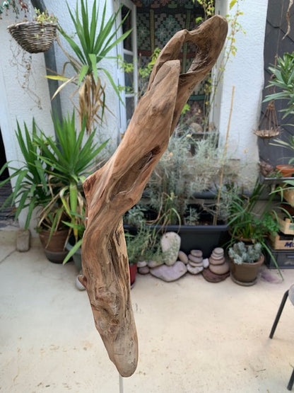Sculpture en bois flotté de Loire - Bec d'oiseau - 53 cm de hauteur × 19 × 17 / ± 0,5 kg - Création Zen Curiosity