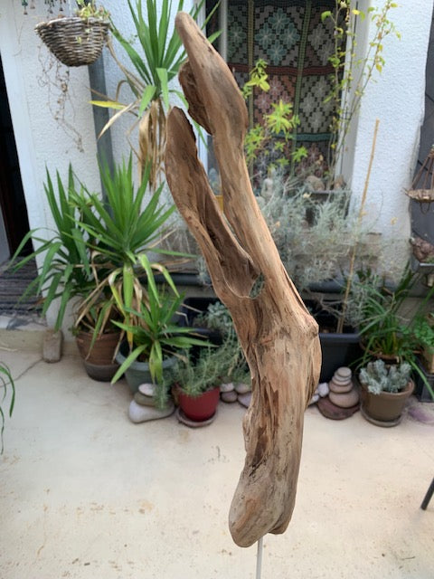 Sculpture en bois flotté de Loire - Bec d'oiseau - 53 cm de hauteur × 19 × 17 / ± 0,5 kg - Création Zen Curiosity