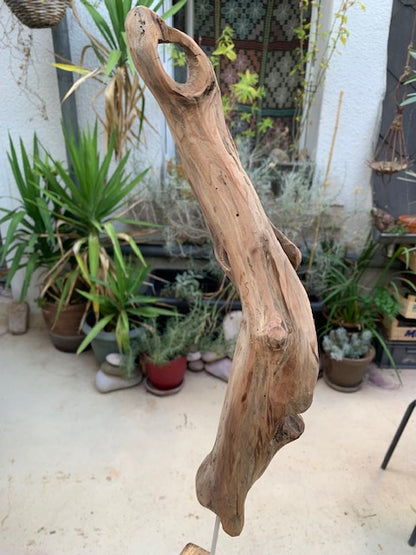 Sculpture en bois flotté de Loire - Bec d'oiseau - 53 cm de hauteur × 19 × 17 / ± 0,5 kg - Création Zen Curiosity