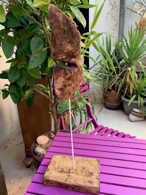 Sculpture en bois flotté de Loire - 'Sourire en coin' - 48 cm de hauteur × 17 × 10 / ± 0,5 kg - Création Zen Curiosity