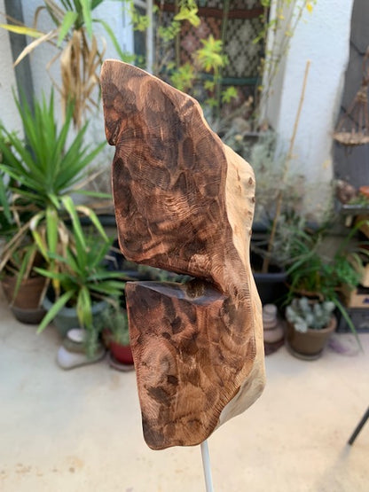 Sculpture en bois flotté de Loire - 'Sourire en coin' - 48 cm de hauteur × 17 × 10 / ± 0,5 kg - Création Zen Curiosity
