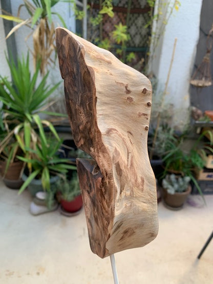 Sculpture en bois flotté de Loire - 'Sourire en coin' - 48 cm de hauteur × 17 × 10 / ± 0,5 kg - Création Zen Curiosity