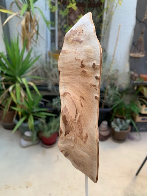 Sculpture en bois flotté de Loire - 'Sourire en coin' - 48 cm de hauteur × 17 × 10 / ± 0,5 kg - Création Zen Curiosity