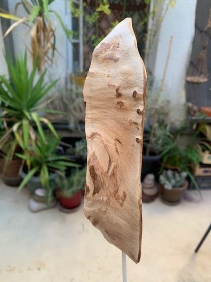 Sculpture en bois flotté de Loire - 'Sourire en coin' - 48 cm de hauteur × 17 × 10 / ± 0,5 kg - Création Zen Curiosity
