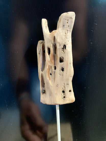 Sculpture en bois flotté de Loire - 'Micro Cactus' - 27 cm de hauteur × 7 × 6 / ± 0,05 kg - Création Zen Curiosity