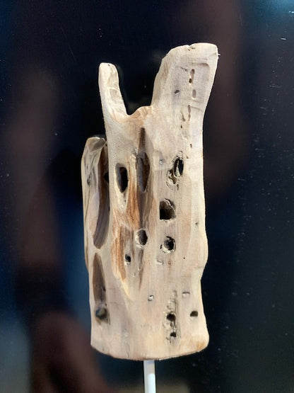Sculpture en bois flotté de Loire - 'Micro Cactus' - 27 cm de hauteur × 7 × 6 / ± 0,05 kg - Création Zen Curiosity