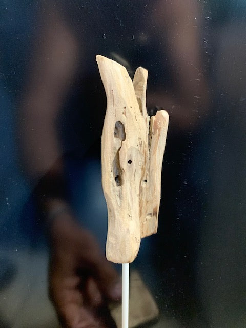 Sculpture en bois flotté de Loire - 'Micro Cactus' - 27 cm de hauteur × 7 × 6 / ± 0,05 kg - Création Zen Curiosity