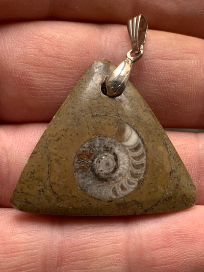 Ammonite fossile dans grès rouge (Usa), pendentif de taille 40 millimètres x 35 x 7. Vendu avec ou sans cordon noir et réglable de 60 cm !