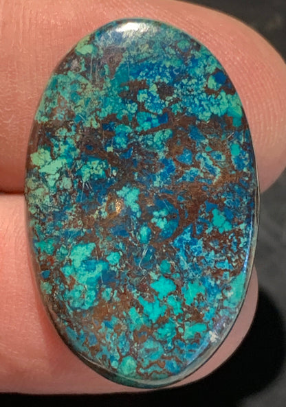 Chrysocolle – Cabochon de forme ovale de 32 × 20 × 5 mm - 5,1 gr. - Nuances naturelles magnifiques, parfait pour bijoux raffinés, collectionneur passionné ou exposition