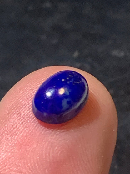 Lapis lazuli, cabochon de 10 mm x 7 x 4 - 2 carats. Parfait en bijouterie, collection ,exposition...