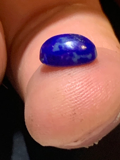 Lapis lazuli, cabochon de 10 mm x 7 x 4 - 2 carats. Parfait en bijouterie, collection ,exposition...