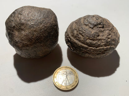 Boules de Moqui ou Pierres des Chamans - Paire unique de Ø 55 mm  – 265 g (les deux)