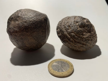 Boules de Moqui ou Pierres des Chamans - Paire unique de Ø 55 mm  – 265 g (les deux)