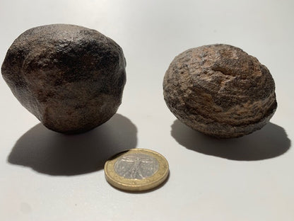 Boules de Moqui ou Pierres des Chamans - Paire unique de Ø 55 mm  – 265 g (les deux)