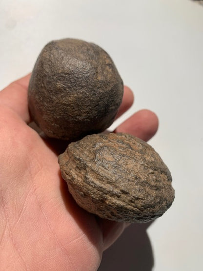 Boules de Moqui ou Pierres des Chamans - Paire unique de Ø 55 mm  – 265 g (les deux)