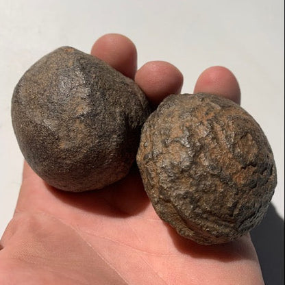 Boules de Moqui ou Pierres des Chamans - Paire unique de Ø 55 mm  – 265 g (les deux)