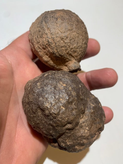 Boules de Moqui ou Pierres des Chamans - Paire unique de Ø 60 mm  – 383,7 g (les deux)