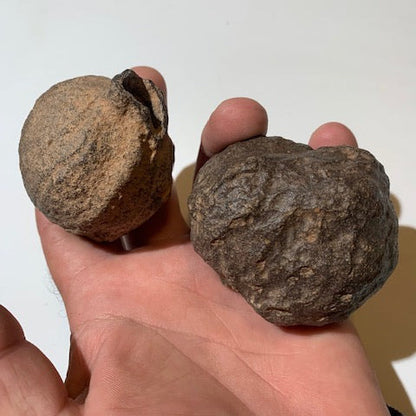 Boules de Moqui ou Pierres des Chamans - Paire unique de Ø 60 mm  – 383,7 g (les deux)
