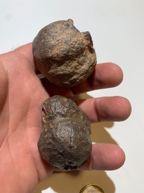 Boules de Moqui ou Pierres des Chamans - Paire unique de Ø 45 mm  – 178,8 g (les deux)