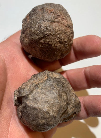 Boules de Moqui ou Pierres des Chamans - Paire unique de Ø 45 mm  – 178,8 g (les deux)