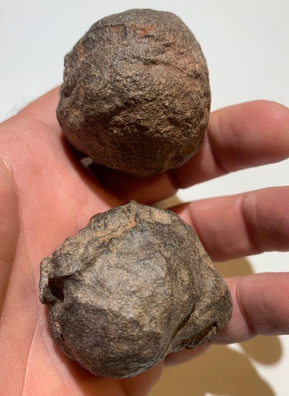 Boules de Moqui ou Pierres des Chamans - Paire unique de Ø 45 mm  – 178,8 g (les deux)
