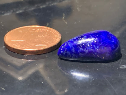 Lapis lazuli, cabochon de 17 mm x 10 x 7 - 9 carats. Parfait en bijouterie, collection ,exposition...