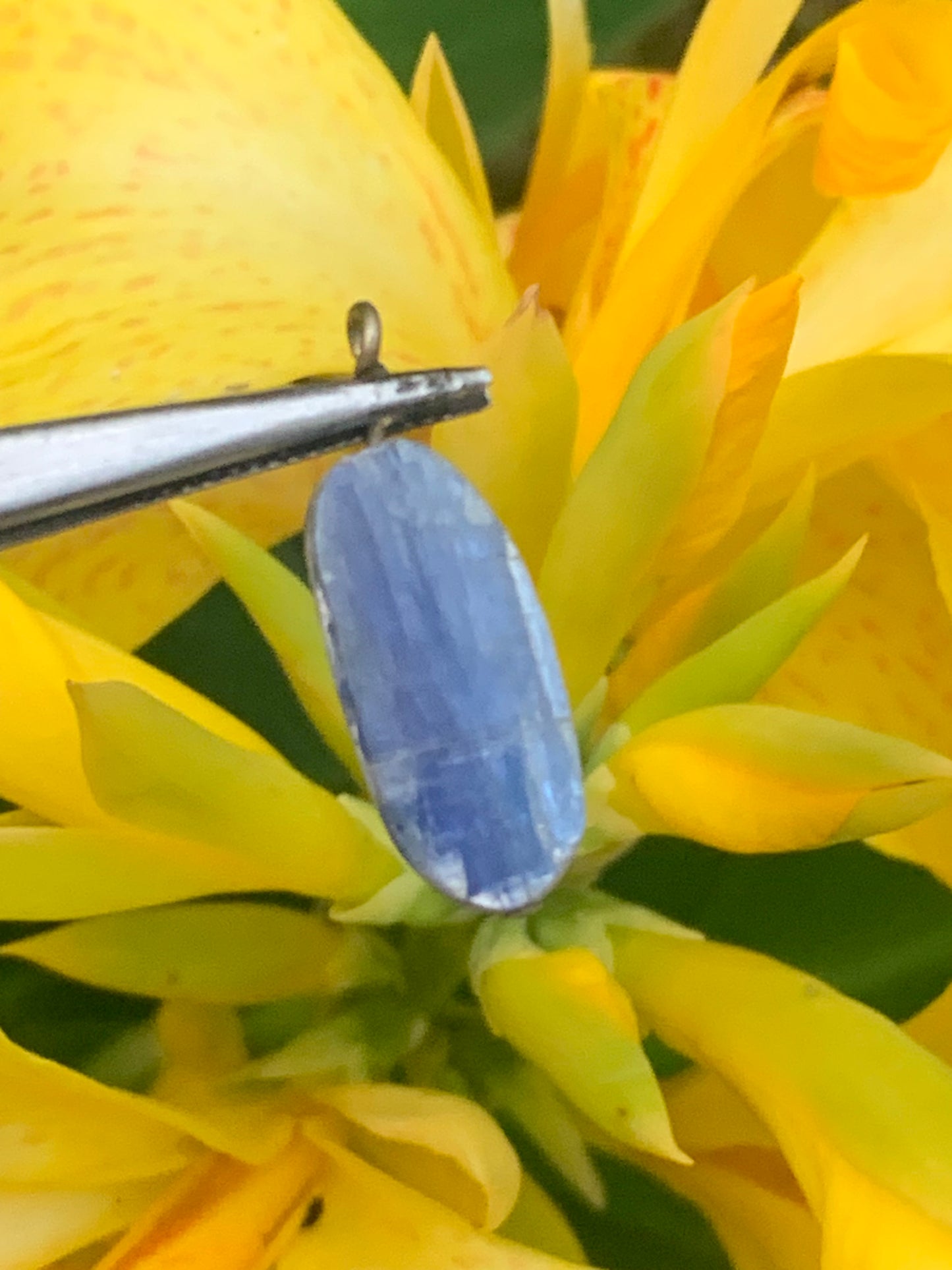 Cyanite disthène, pendentif de 25 millimètres x10x5. Vendu avec ou sans cordon noir et réglable de 60 cm !