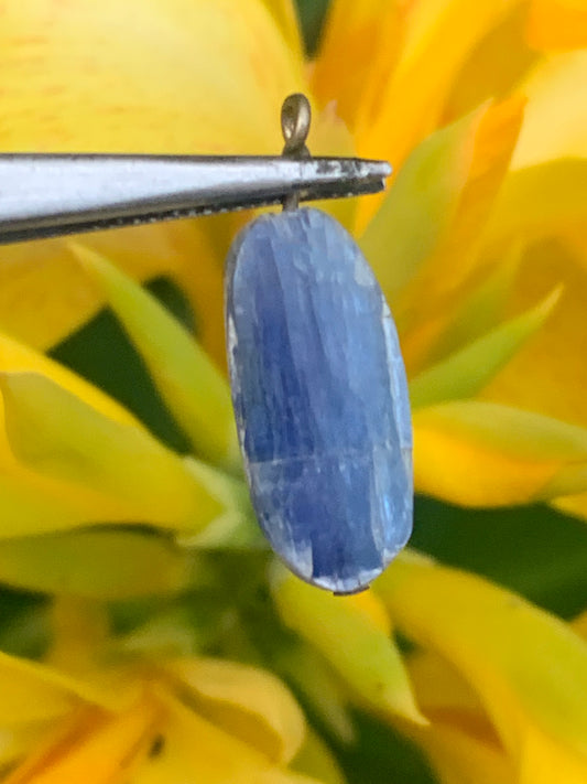 Cyanite disthène, pendentif de 25 millimètres x10x5. Vendu avec ou sans cordon noir et réglable de 60 cm !