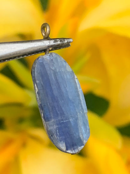 Cyanite disthène, pendentif de 25 millimètres x10x5. Vendu avec ou sans cordon noir et réglable de 60 cm !